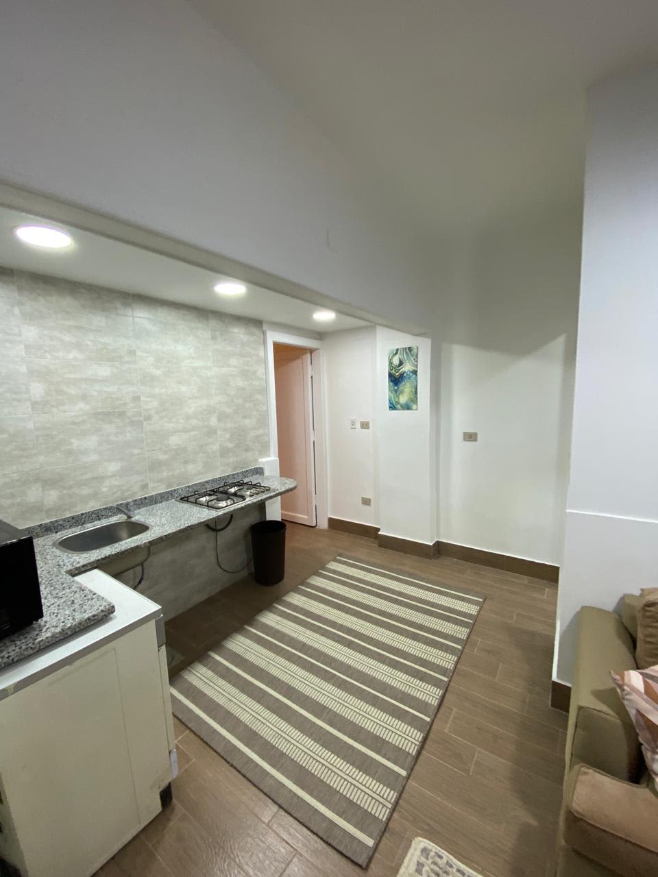 1 bedroom Studio for rent in Zamalek , Cairo - Image 3