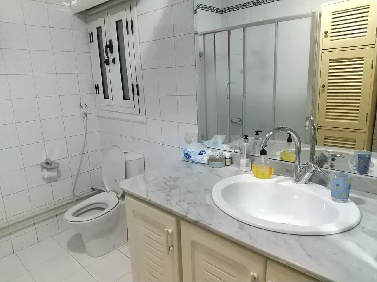 2 bedroom Apartment for rent in Northern Zamalek , Cairo - Image 9