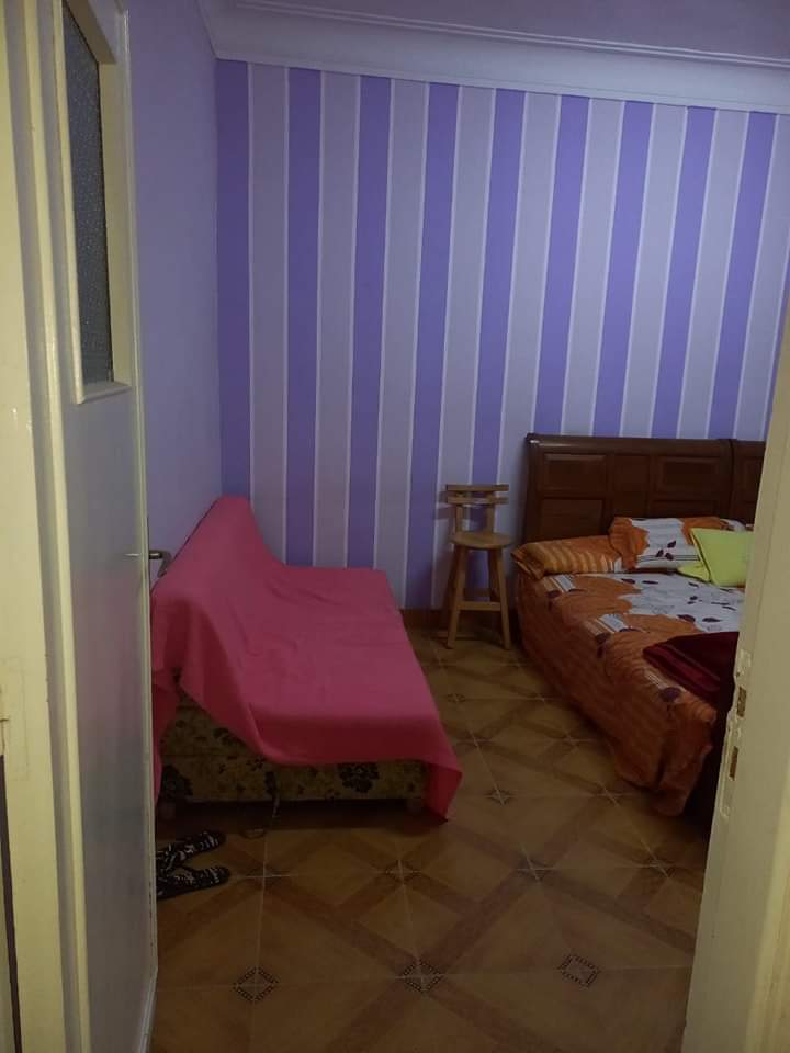 1 bedroom Studio for rent in Zamalek