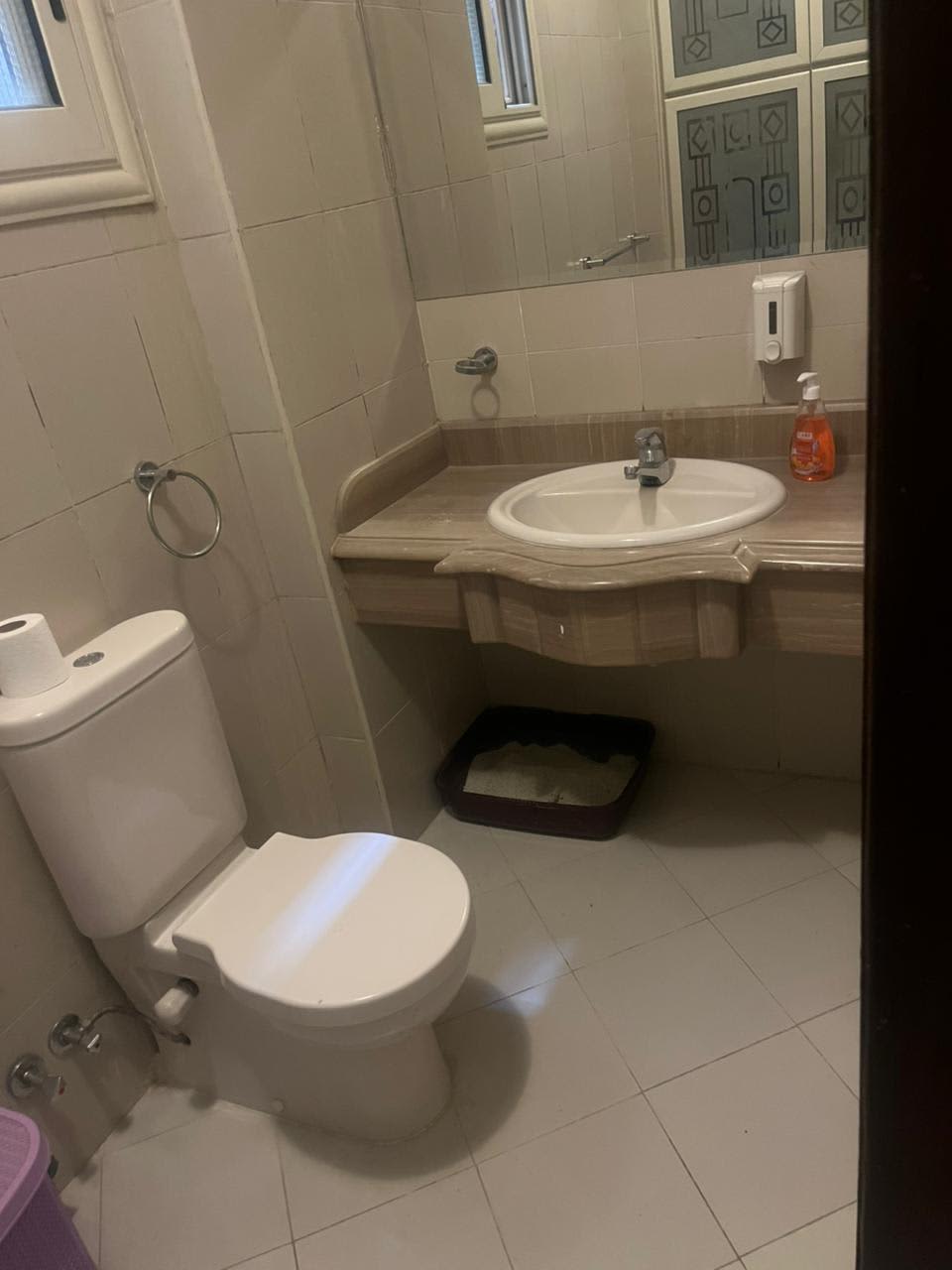 2 bedroom Duplex for rent in Degla , Maadi - Image 9