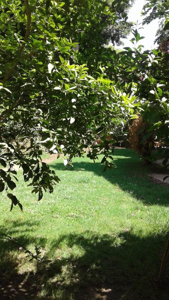 Villa in Sarayat – Photo 2 Villa for rent in Sarayat – photo 2 – 800 m² | T881