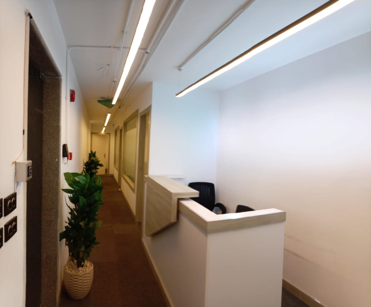 3 bedroom Office for rent in Degla , Maadi
