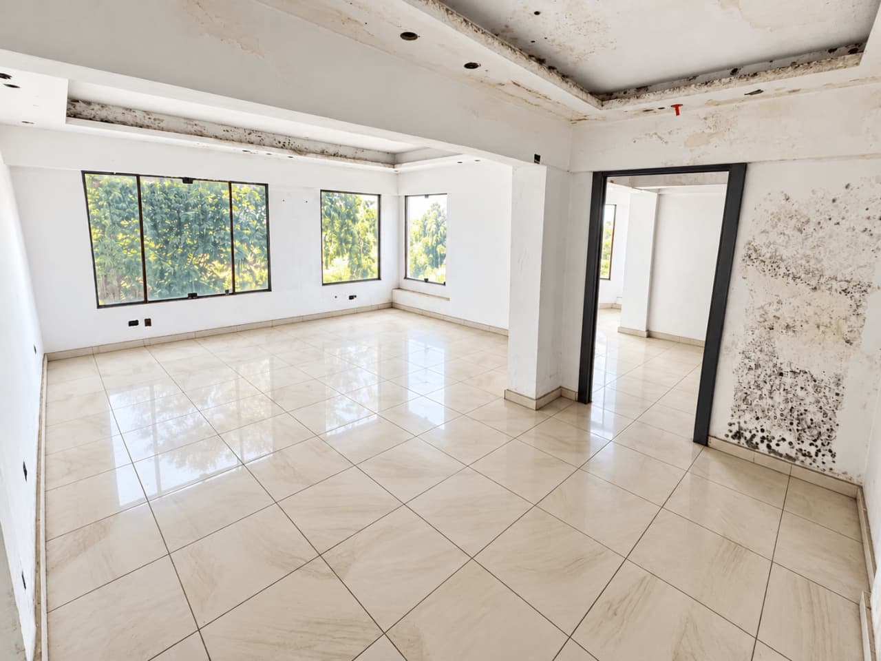 Office for rent in Degla – photo 7 – 450 m² | RE1685