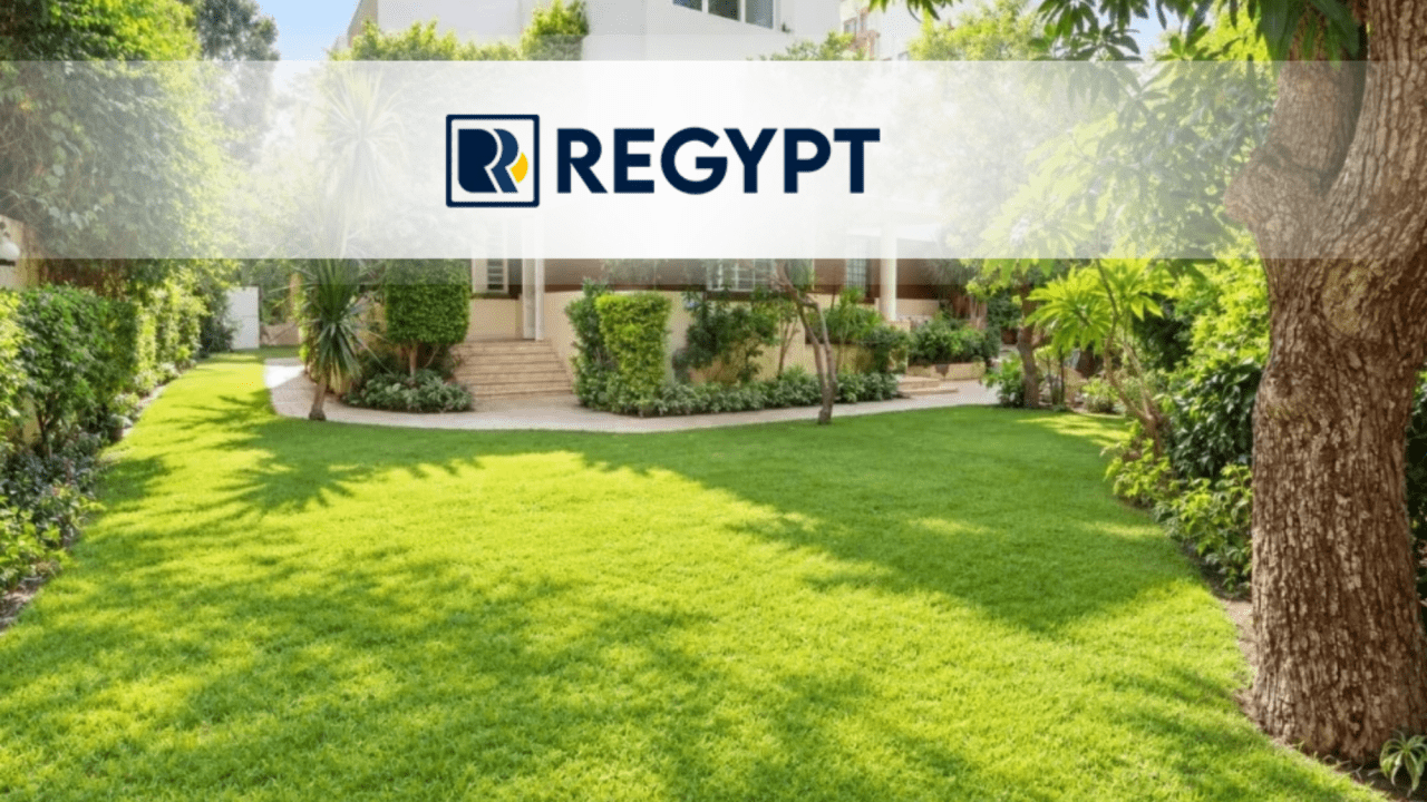 Best Real Estate Companies in Egypt for Buying and Renting