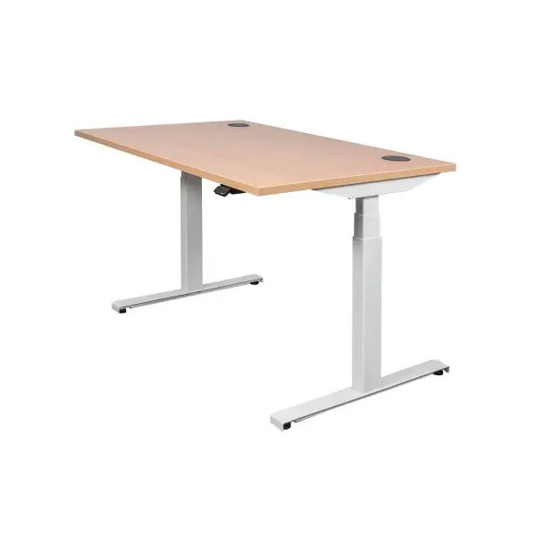 Electric Standing Desk