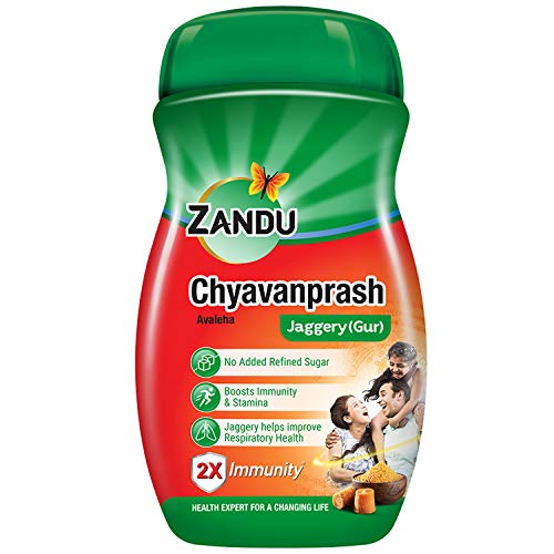 ZANDU CHYAVANPRASH AVALEHA – LIQUID FOODS at Priyanka Super Bazaar