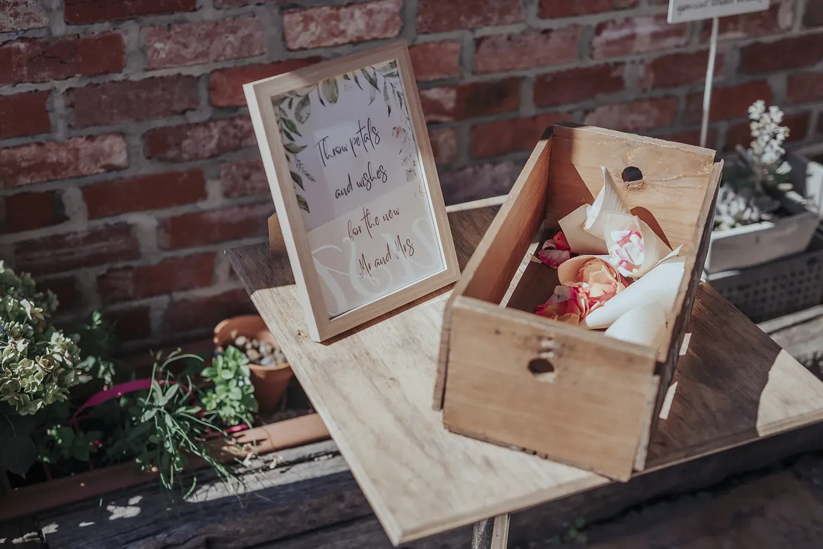 Chris_Angela_Wedding_Reception_9_31abdce0e4