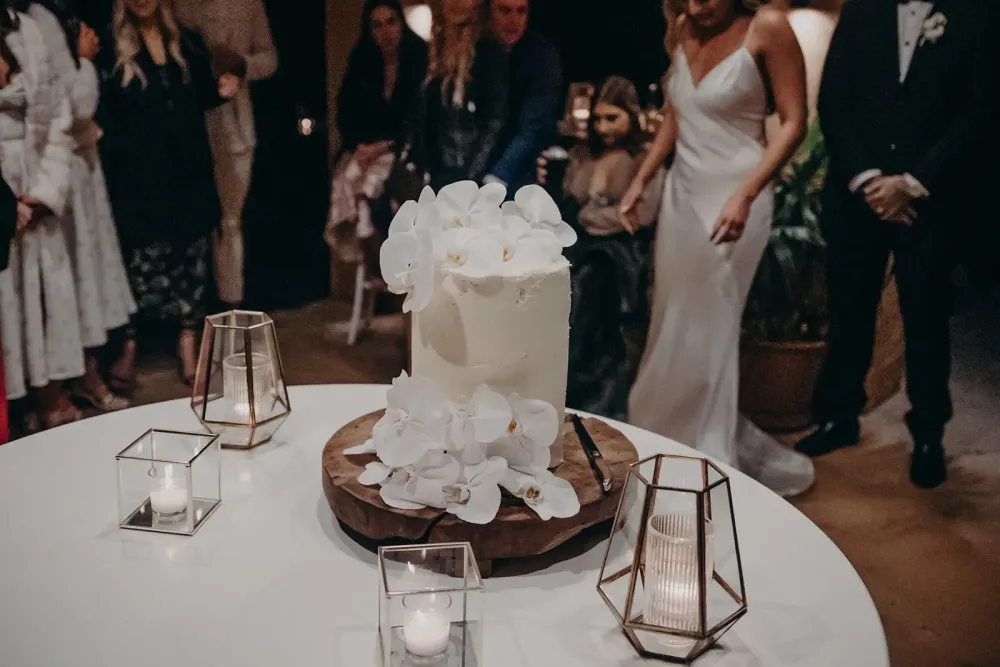 Monique and Josh wedding photo