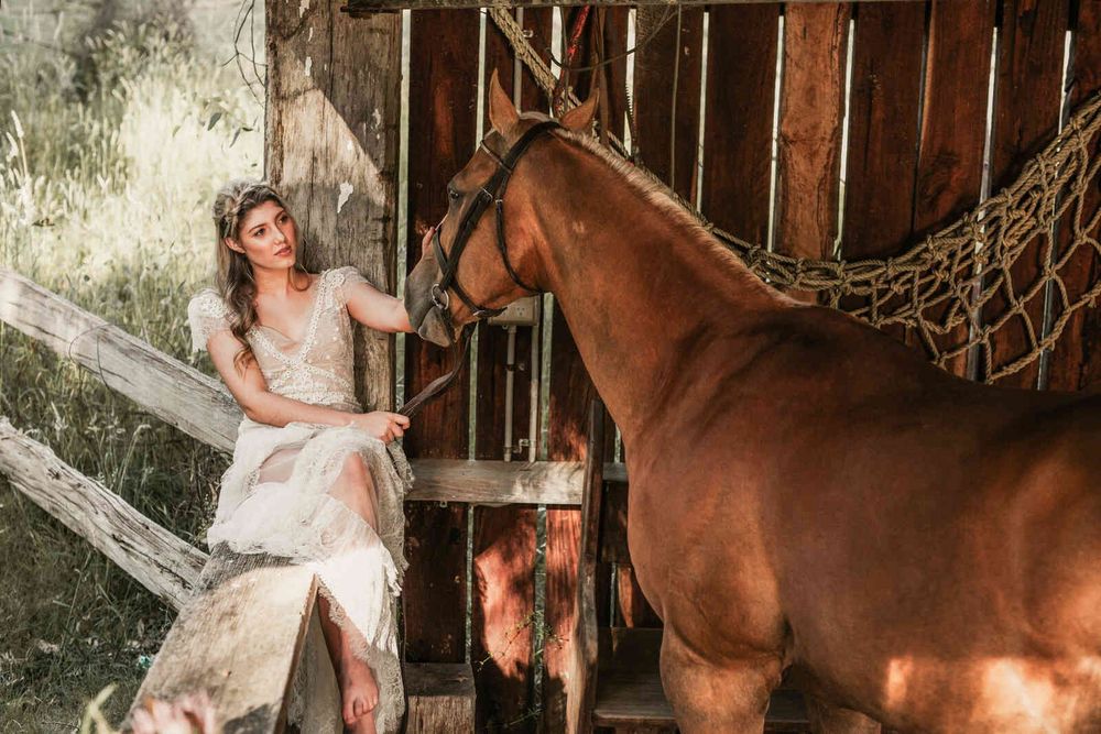 Horse Ranch wedding photo