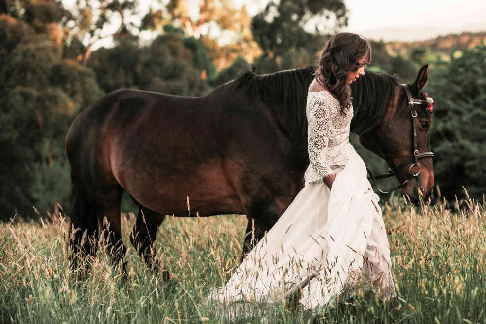 Horse Ranch wedding photo