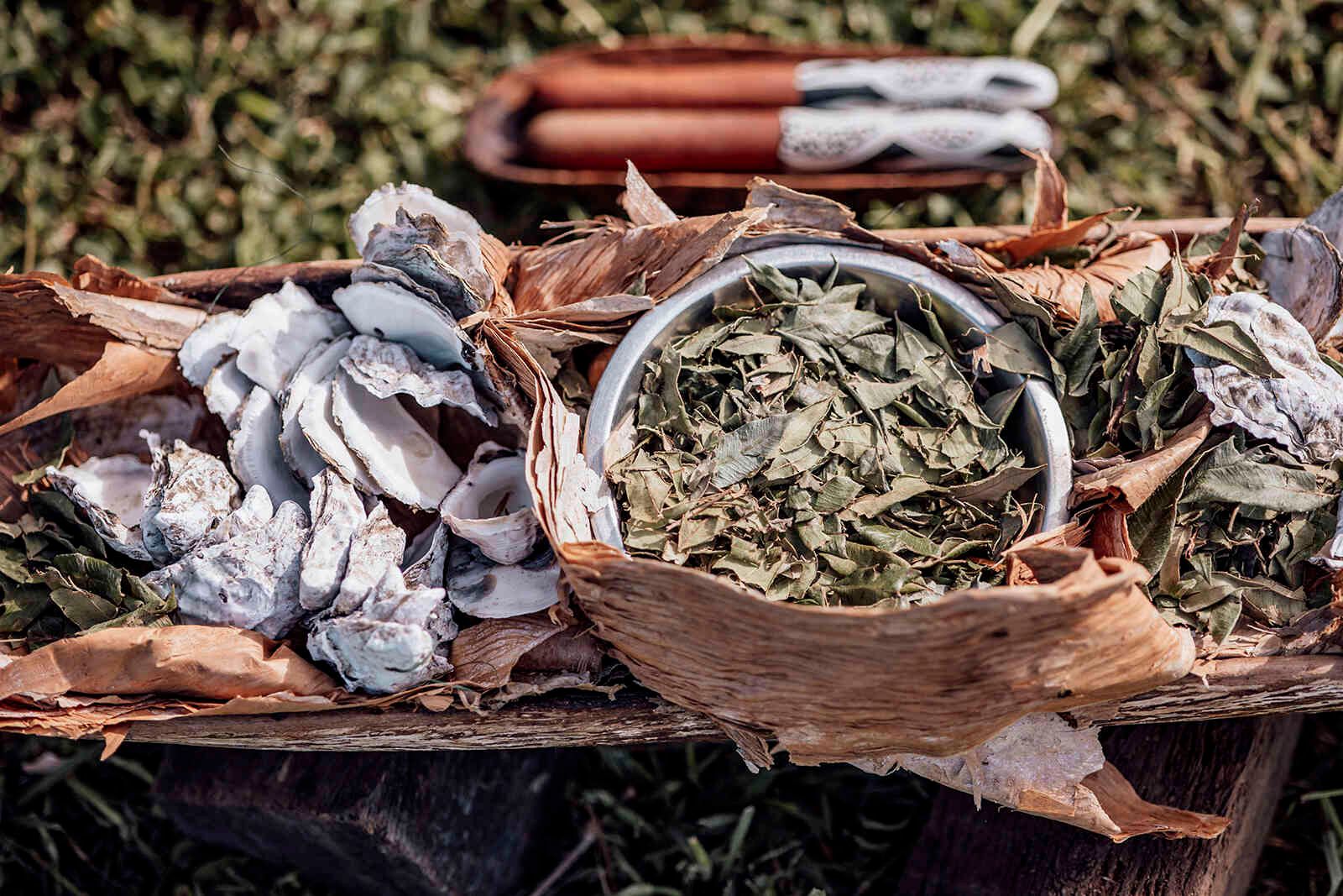 indigenous_smoking_ceremony_leaves_oyster_shells_9b2636bc55