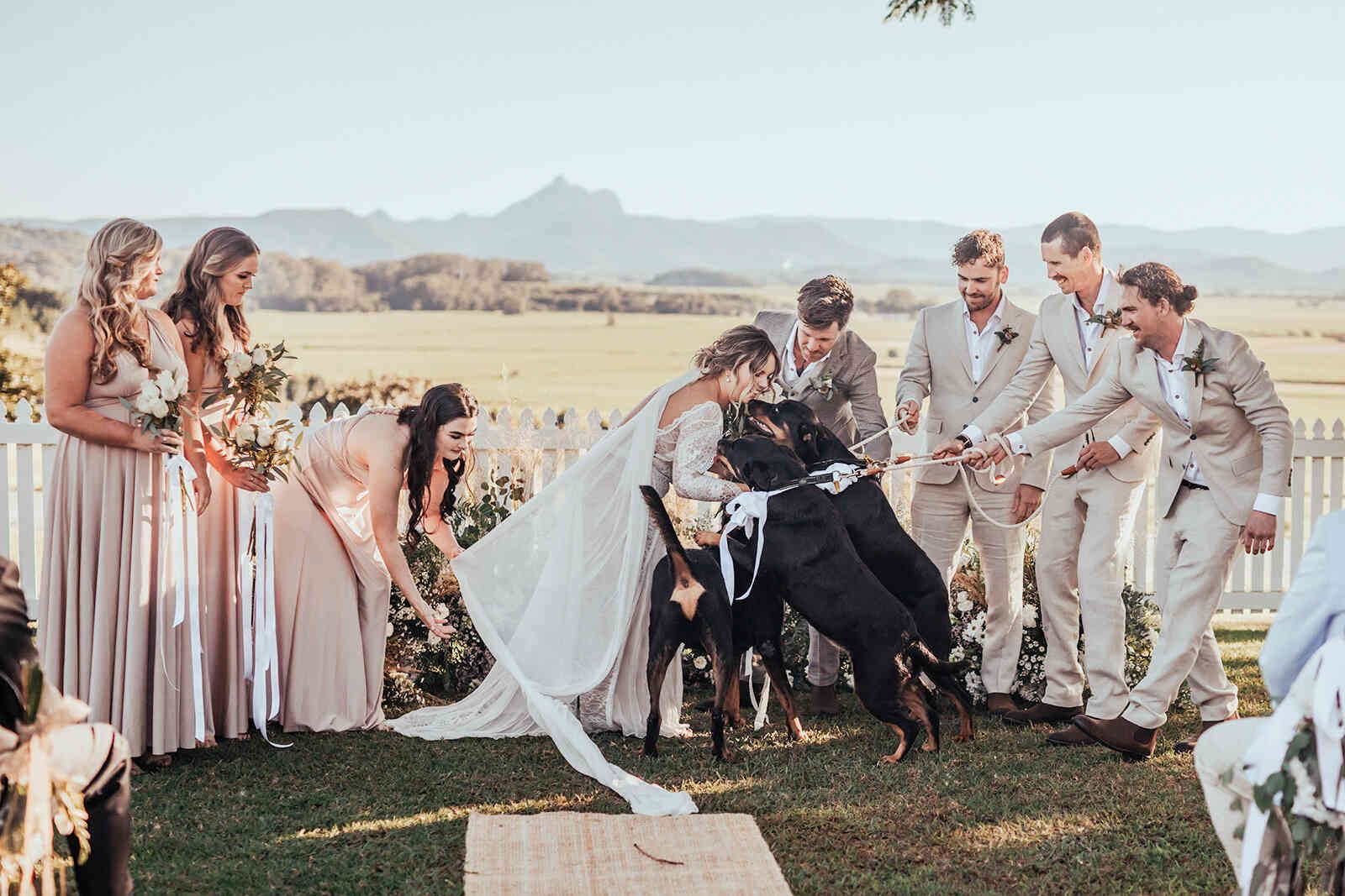sarah_and_jeff_full_wedding_party_with_dogs_tug_of_war_photo_023afd21fe