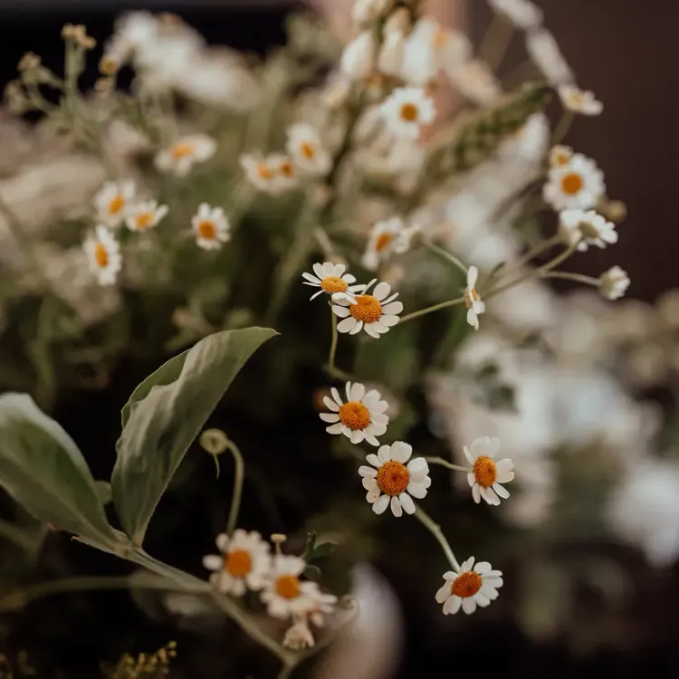 Garden flowers wedding flowers
