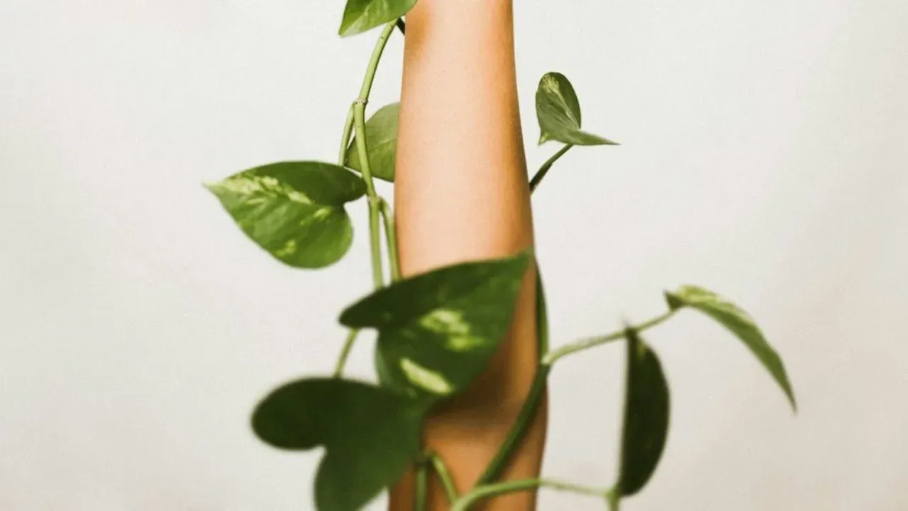 5 Nutrition Tips for Healthy, Glowing Skin