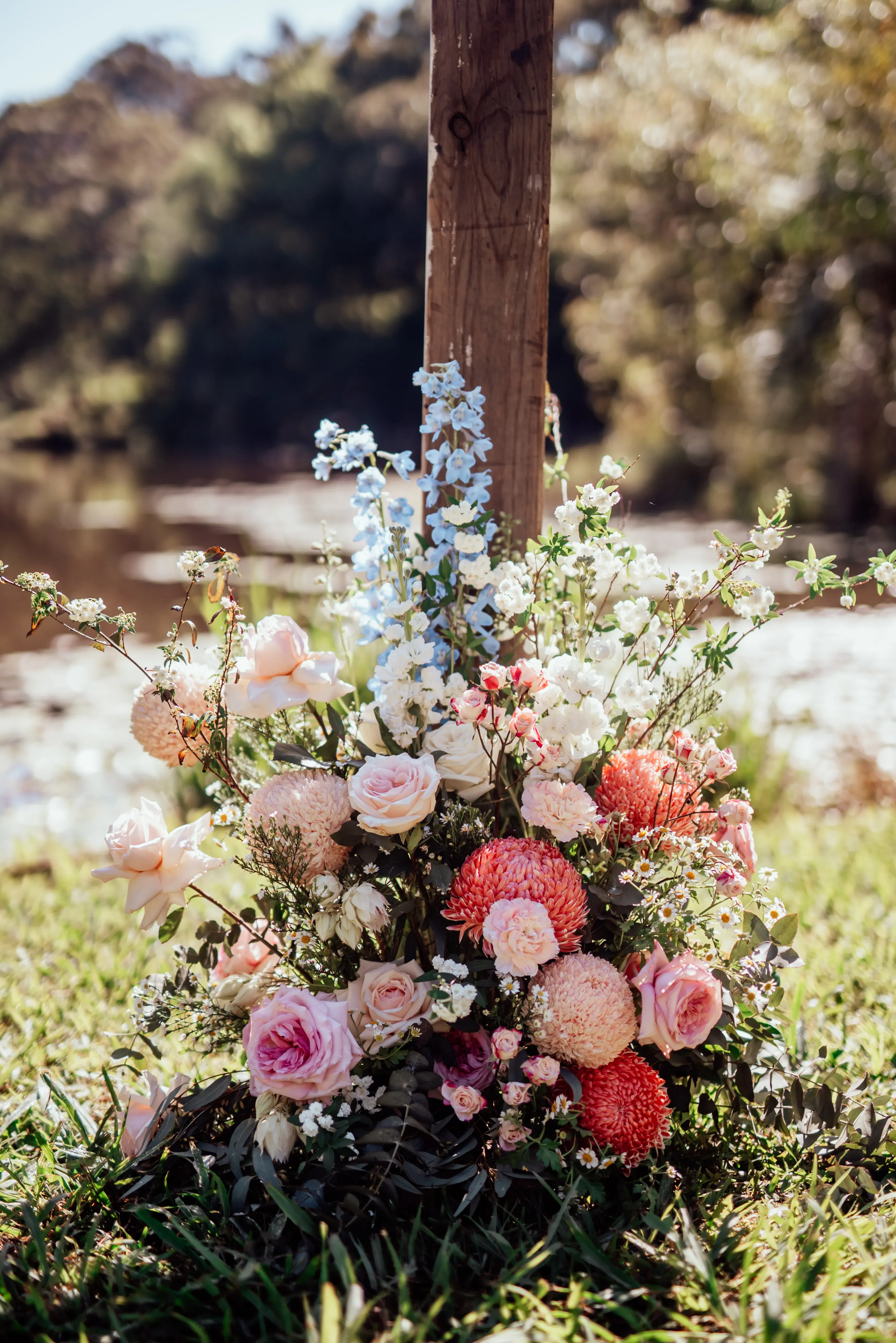 Wild flower 28