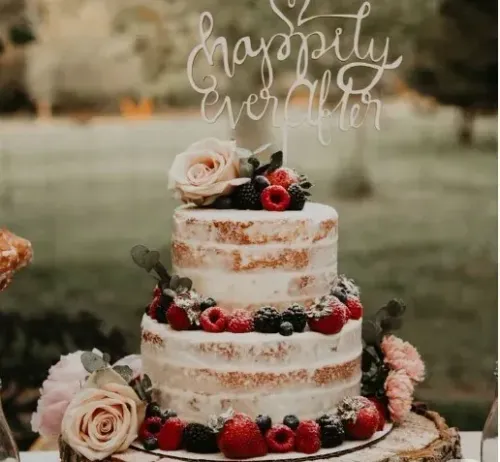 Rustic & Semi-Naked Wedding Cake wedding cake