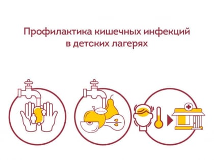 Профилактика кишечных инфекций в детских лагерях