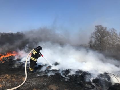 Работники ГКУ МО «Мособлпожспас» потушили 1900 травяных палов с начала пожароопасного сезона