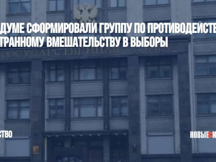 В Госдуме сформировали группу по противодействию иностранному вмешательству в выборы