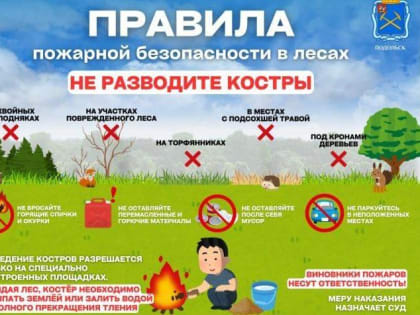 Лесные пожары: Причины и меры предосторожности