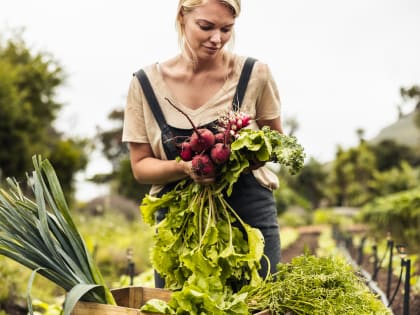 Новые инициативы в области здравоохранения в Москве