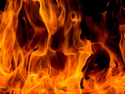 Новые меры по улучшению экологии в городе