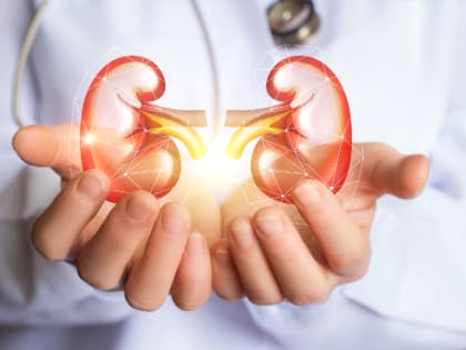 Врач Малхасян: Курение и ожирение являются факторами риска развития рака почки