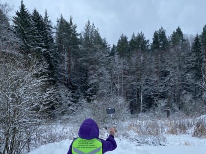Разъяснения по положению об особенностях использования, охраны, защиты, воспроизводства лесов, расположенных на землях сельскохозяйственного назначения