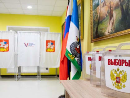 Депутат Государственной Думы РФ Александр Коган отметил хорошую организацию работы на избирательных участках в подмосковной Кашире