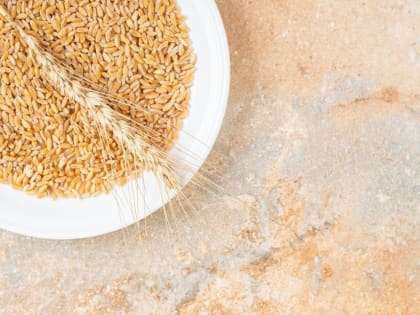 В Луховицком округе появится новый комплекс для обработки зерна