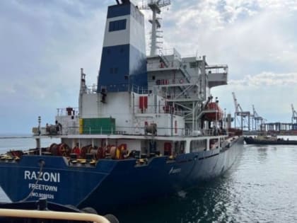 ООН и Турция потребовали от Запада гарантий по зерновой сделке в отношении российской продукции