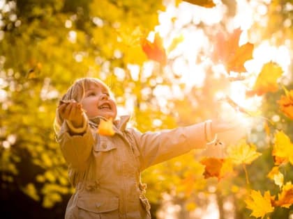 Выходные в Подмосковье обещают порадовать рекордным теплом