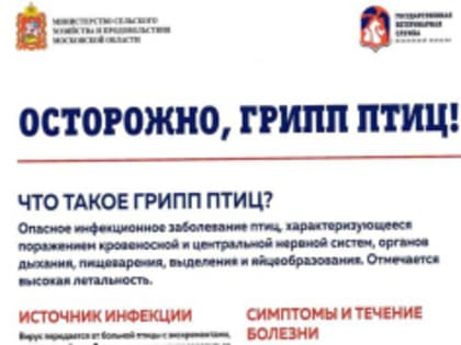 Лобненцам рассказали об опасностях птичьего гриппа