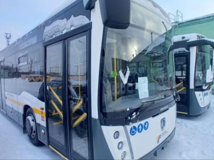 На маршруты Богородского округа выйдут новые автобусы