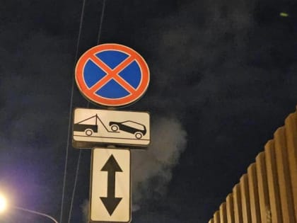 Водителей Подмосковья в феврале оштрафовали на 2 млн руб за неправильную парковку