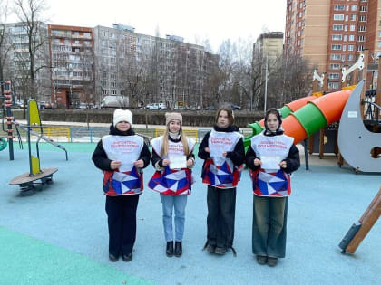 Волонтеры Воскресенска провели информационную акцию