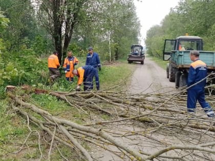 В Рузском округе убирают ветки и порубочные остатки