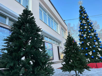 Установку новогодних елок начали в Воскресенском