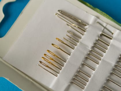 Литва предложила включить гвозди и спицы в новый пакет антироссийских санкций