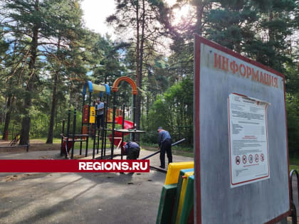 В Дубне начнется обновление детских площадок