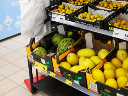 Популяция ос в Москве увеличится из-за старта продажи арбузов