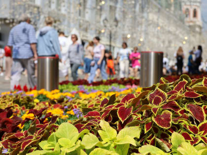 Синоптик Тишковец спрогнозировал тридцатиградусную жару