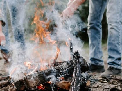 В Подмосковье со 2 по 8 июля ограничат доступ в леса из‑за пожароопасной обстановки