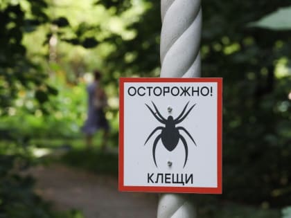 Энцефалит: новые угрозы на западе России