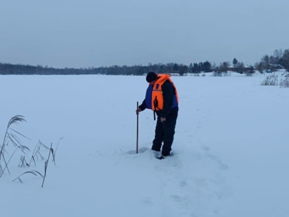 Спасатели Павловского Посада провели профилактическую работу с любителями подледного лова