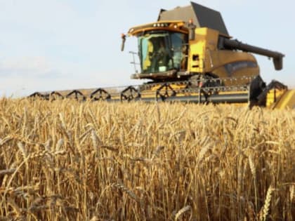 Минсельхоз сделает запрос в антимонопольную службу по поводу роста цен на отечественные комбайны