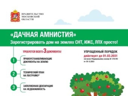 ДАЧНАЯ АМНИСТИЯ ПРОДЛЕНА ДО 1 МАРТА 2031 ГОДА