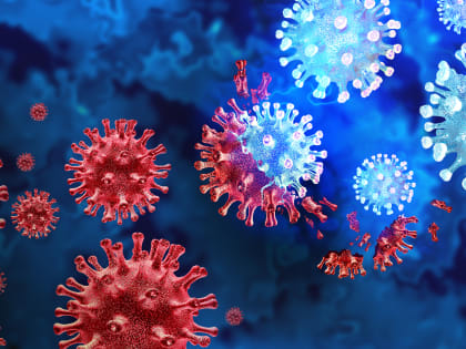 Новый вирус на Пхукете: риски эпидемии и о чем предупредили россиян