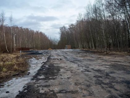 В этом году будет проведено асфальтирование и устройство наружного освещения парковки вблизи «Городского леса» со стороны улицы Надежды