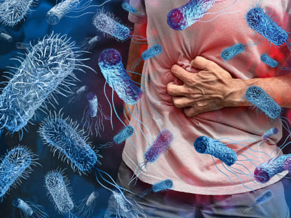 Причиной отравления десятков людей шаурмой в Москве стал сальмонеллёз